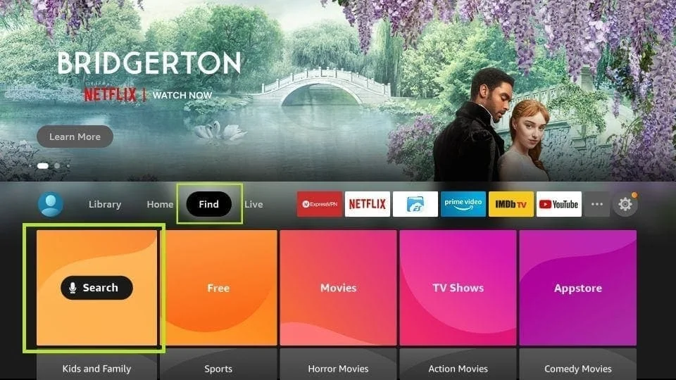 FireStick 1